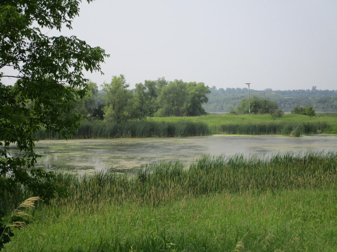 Lake Elmo Park Reserve