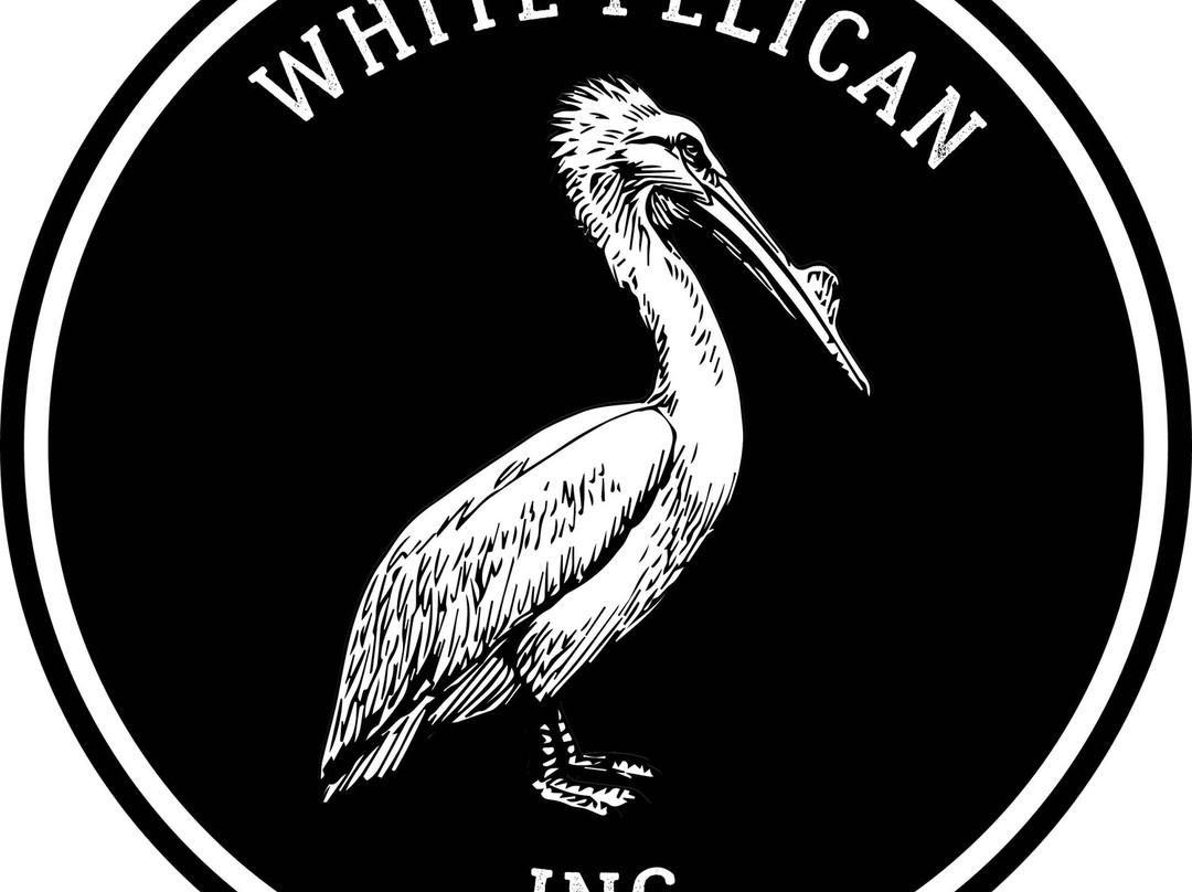 White Pelican Inc.景点图片