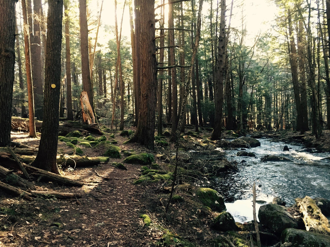 Rutland Brook Wildlife Sanctuary景点图片