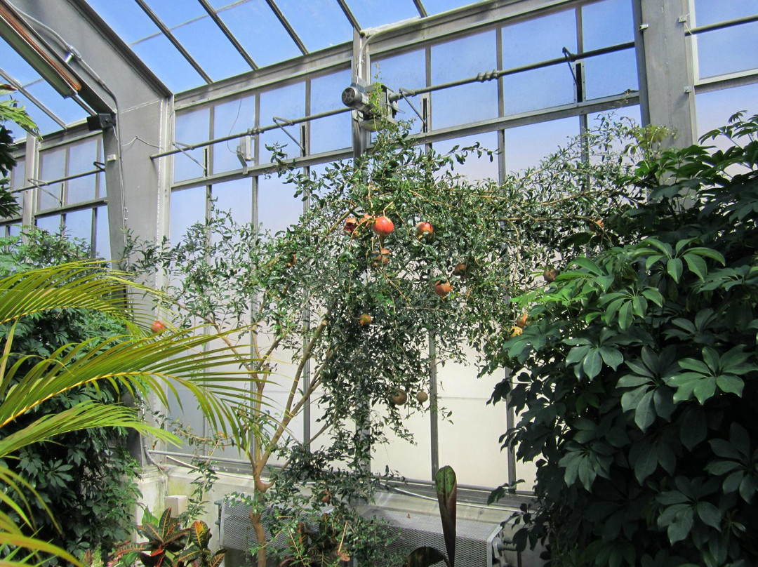 Beech Grove旅游景点-Garfield Park Arts Center