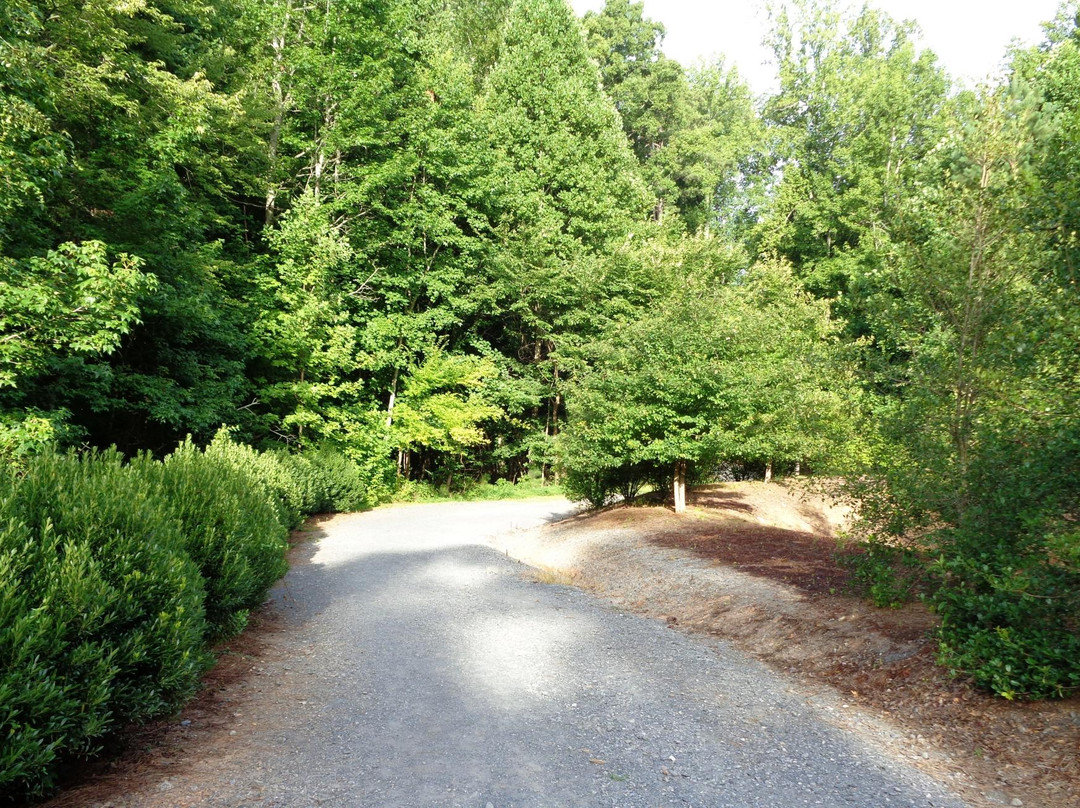 阿尔法利塔旅游景点-Webb Bridge Park