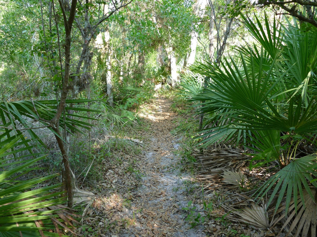 Hickey's Creek Mitigation Park景点图片