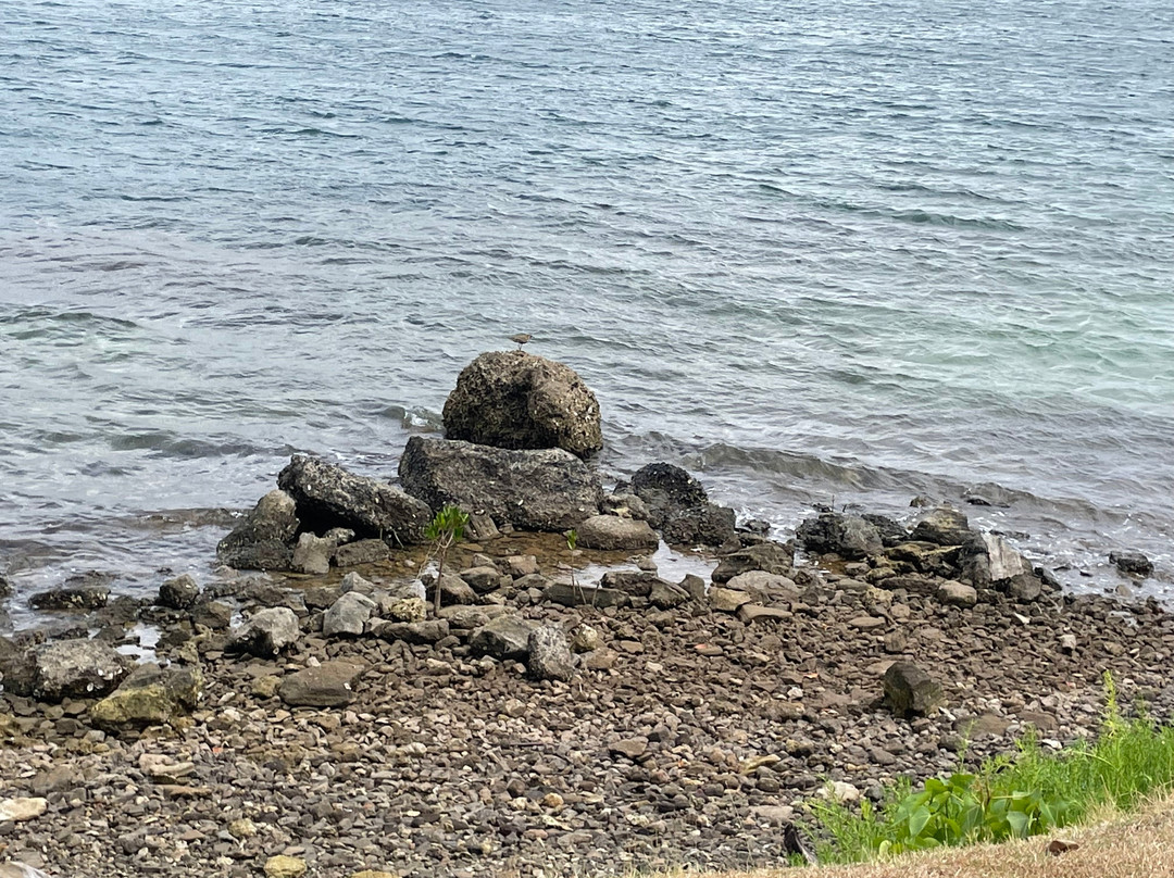 Memorial U.S.S. Nevada