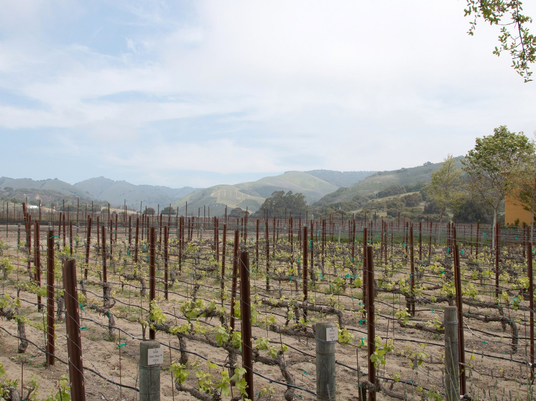 隆波克旅游景点-Melville Winery