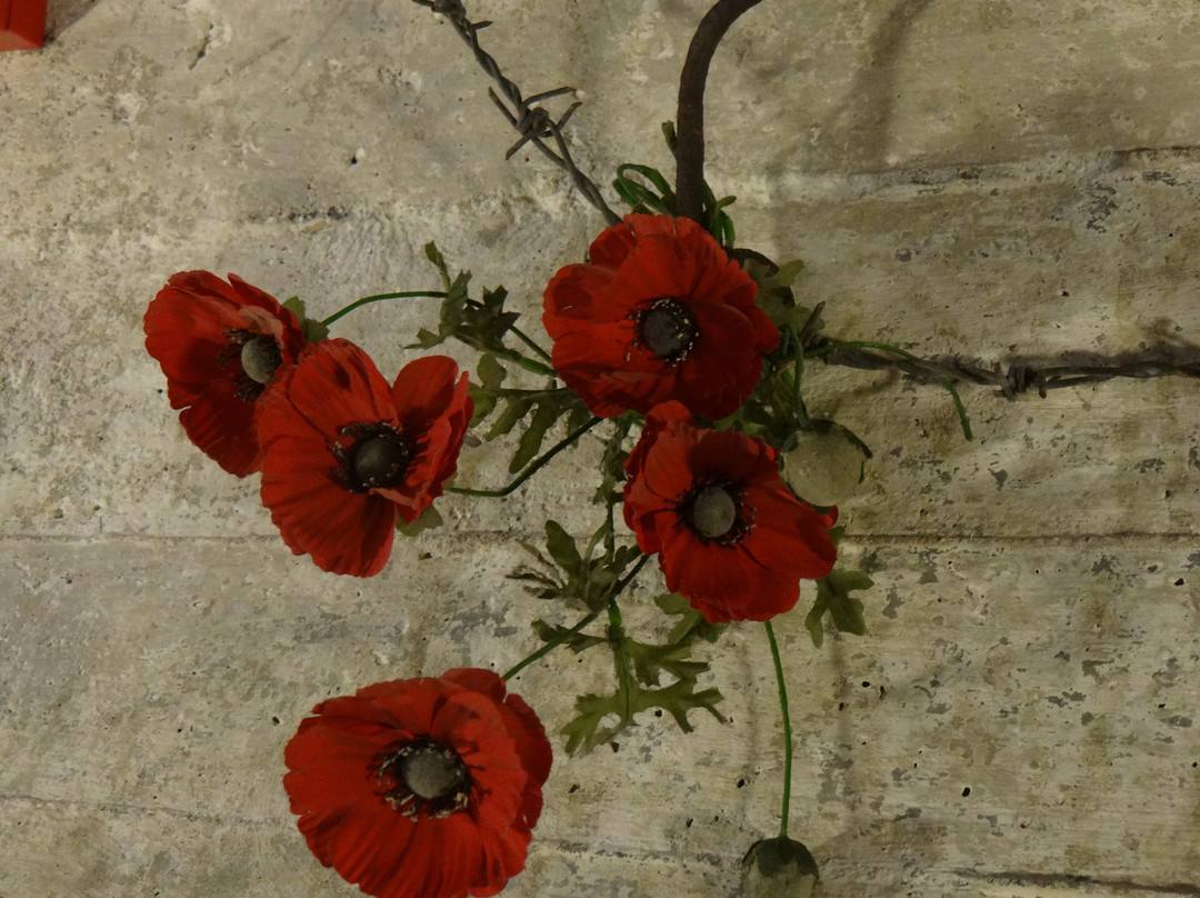 Mametz War Memorial景点图片