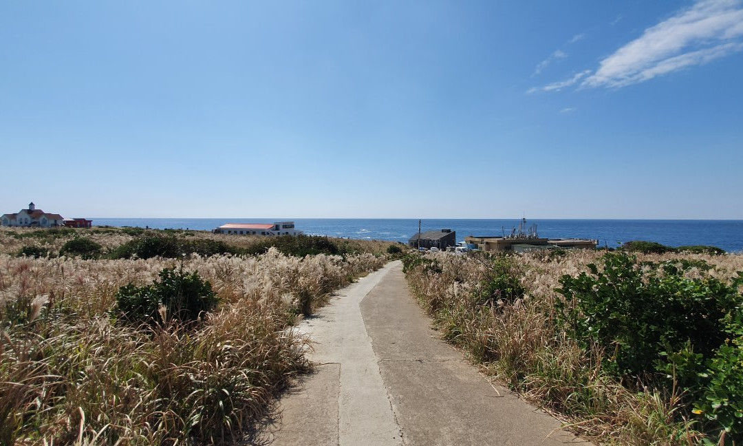 马罗岛-西归浦市必去景点