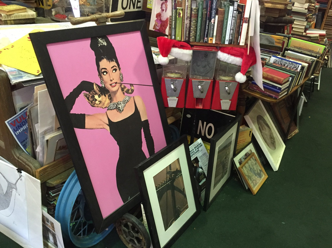 Irondale旅游景点-Jim Reed Books/The Museum of Fond Memories