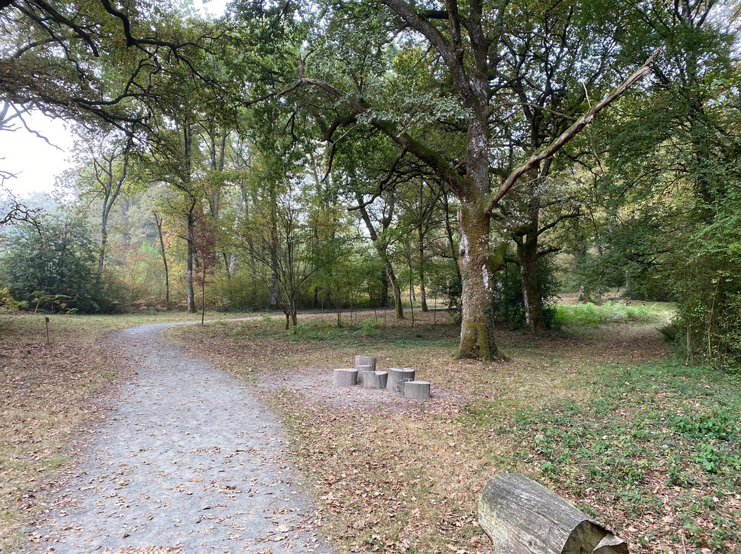 Bosque de Orgi-Lizaso必去景点