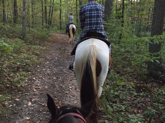 Magic Mountain Farm-温切斯特必去景点