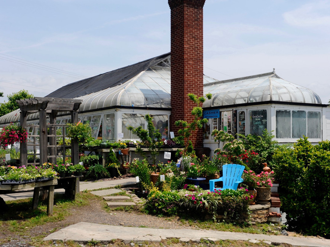 Abernethy & Spencer Greenhouses景点图片