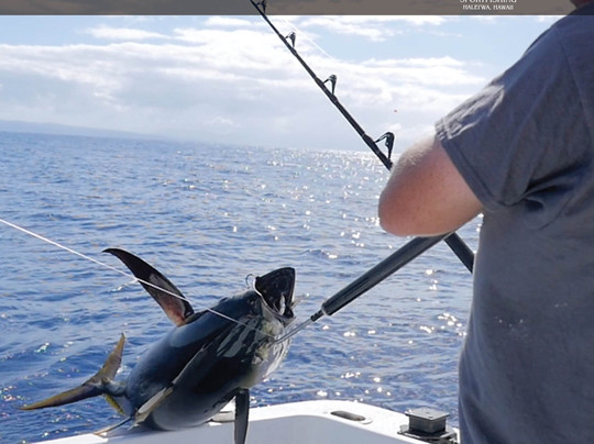 Grand Slam Sportfishing-哈雷瓦必去景点