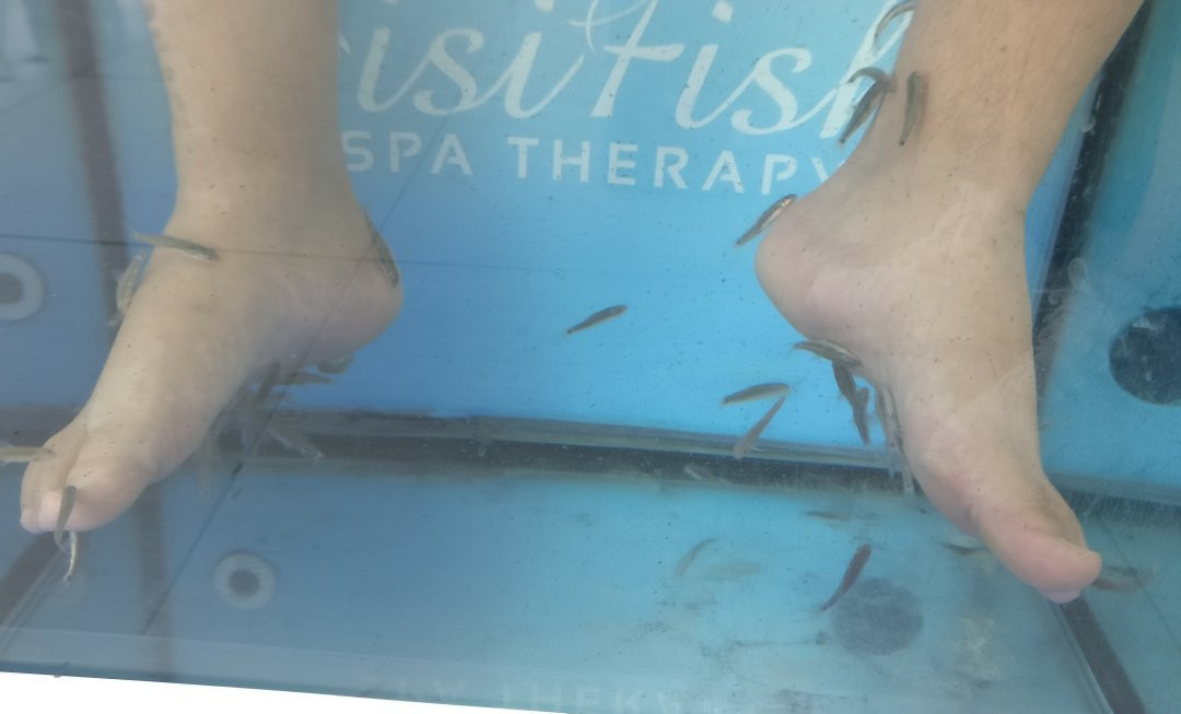Doctor Fish Spa Therapy Sissi-Sissi必去景点