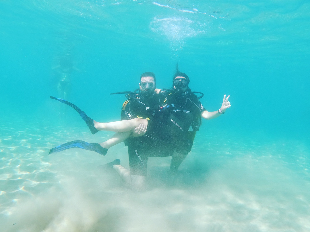 Go Scuba Diving-Agia Marina必去景点