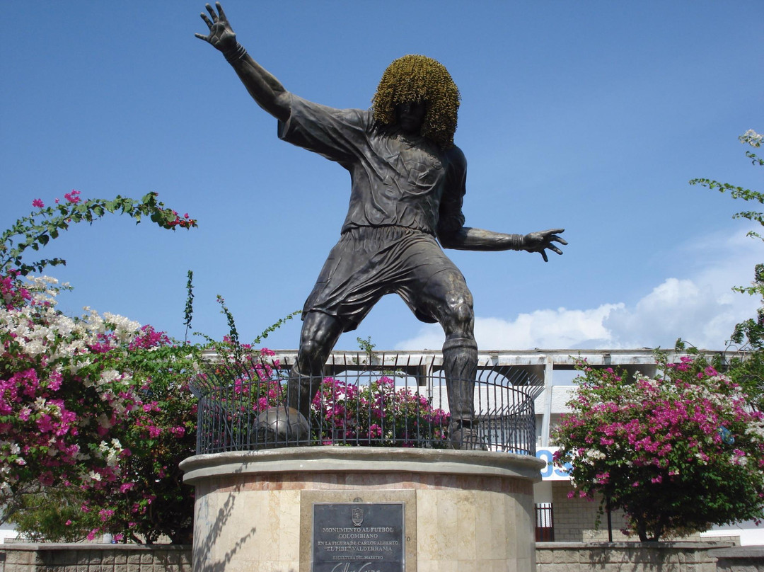 Carlos El Pibe Valderrama Statue景点图片
