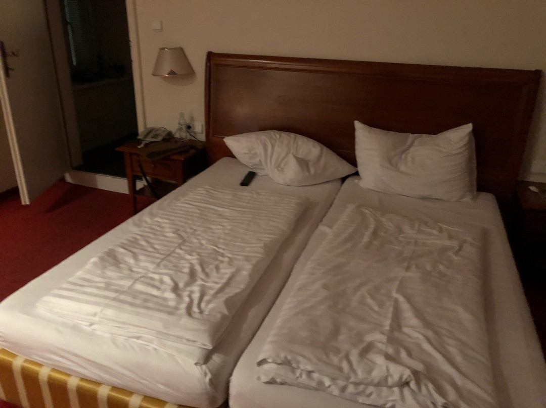 Hotel Gasthof Goldener Loewe主图