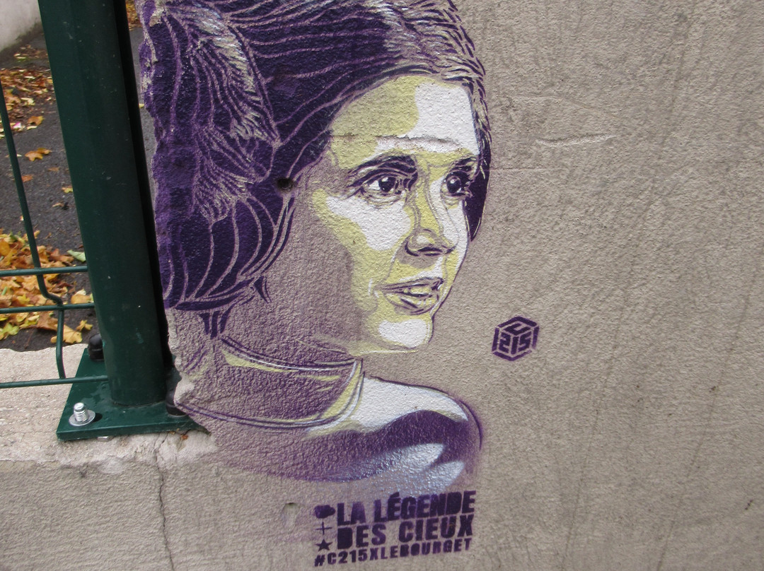 Fresque "Princesse Leia"-Le Bourget必去景点