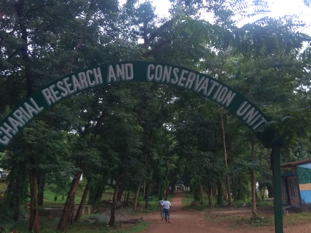 Tikarpada Wildlife Sanctuary景点图片