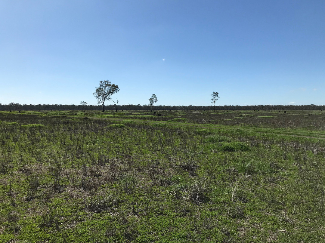 Lake Lyndger Wildlife Reserve