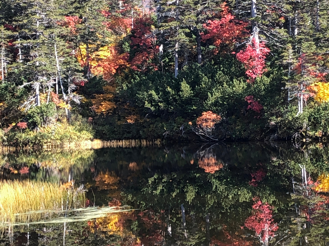 Daisetsu Kogen Swamp-上川町必去景点
