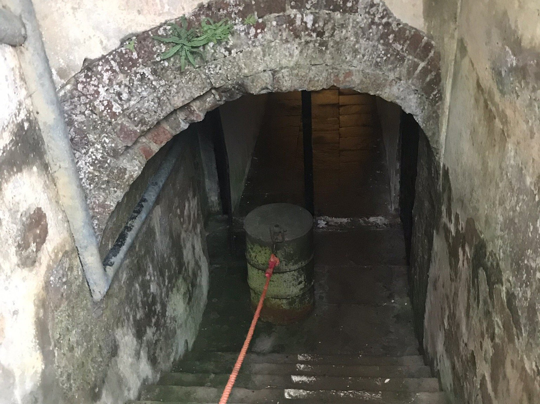 Fort Paull景点图片