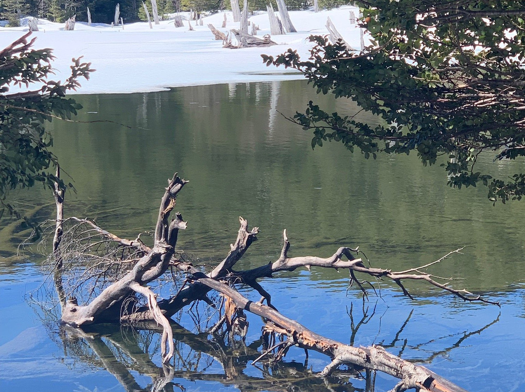 Vortice Park-Curacautin必去景点