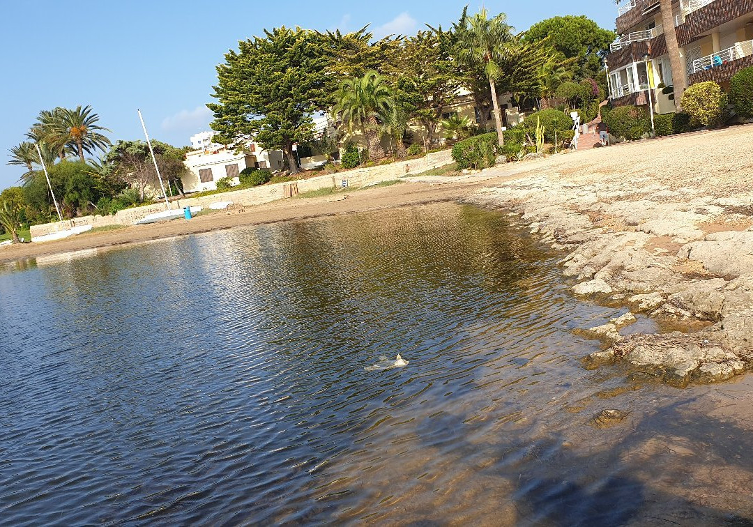 Playa de la Isla景点图片