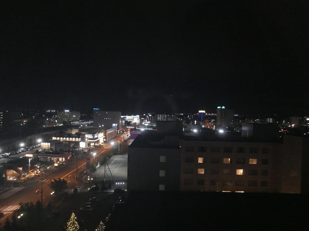 北海道全日空千岁皇冠假日酒店主图