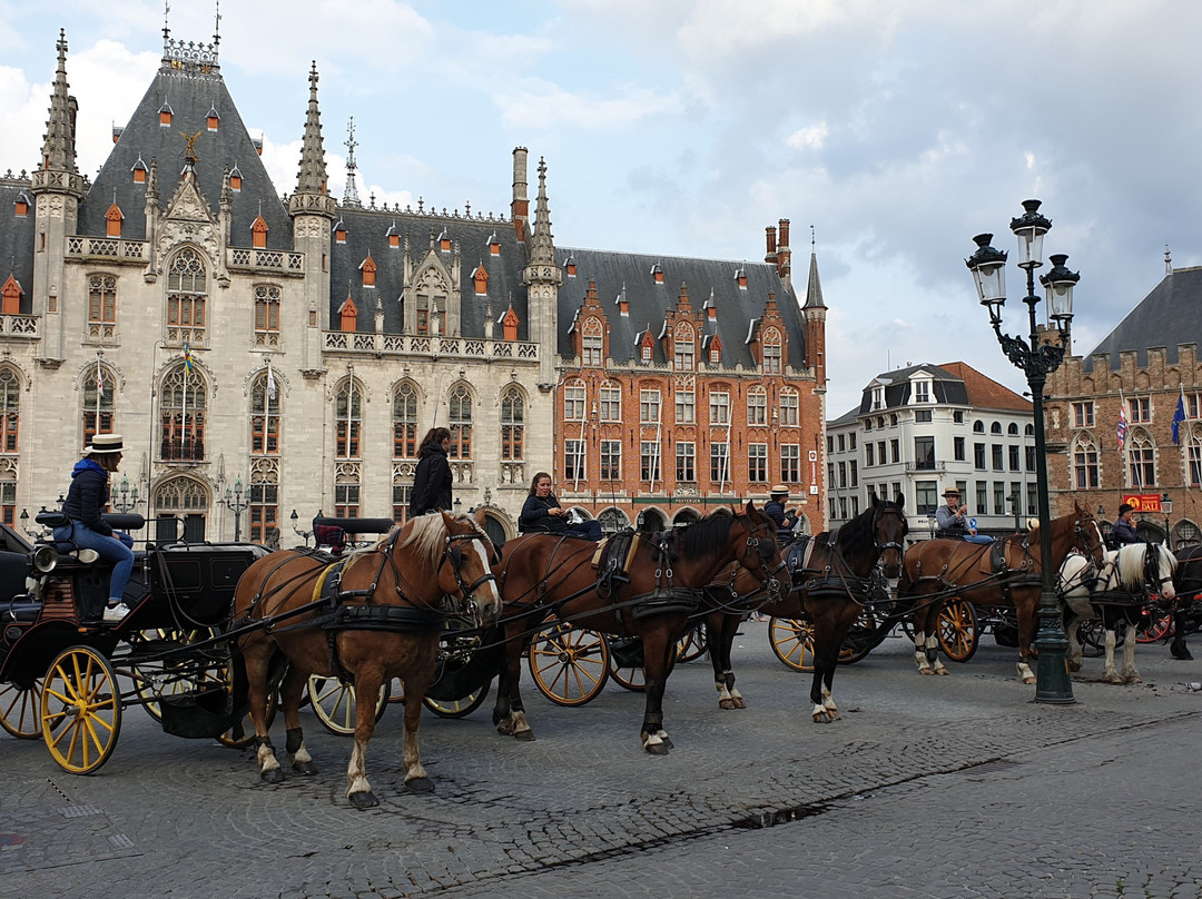 Bruges by Horse-Drawn Carriage景点图片