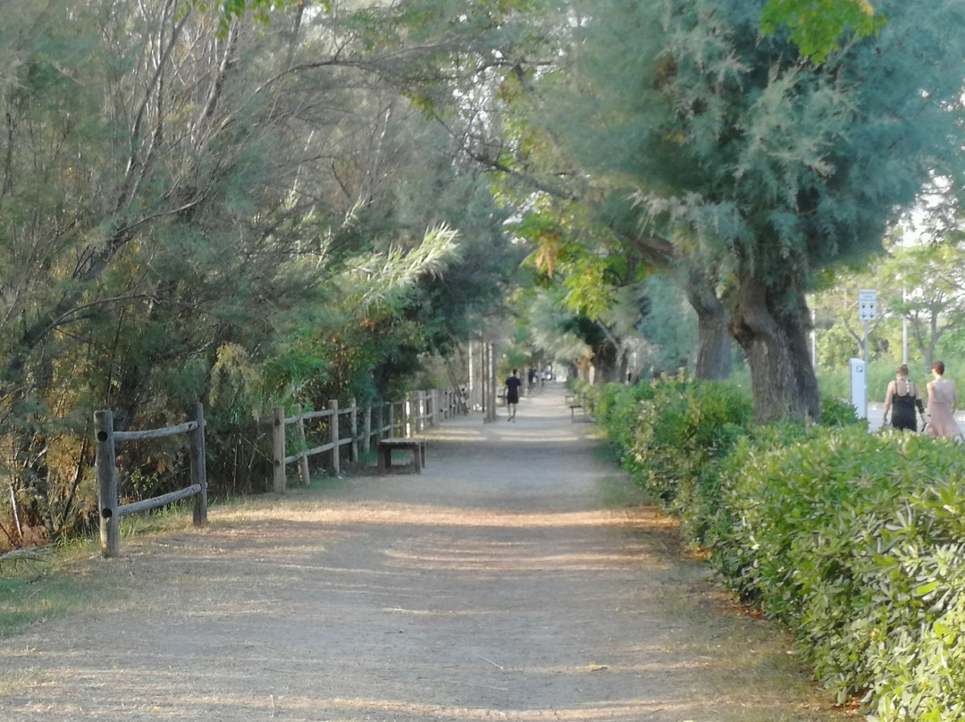 Lungomare di Martinsicuro景点图片