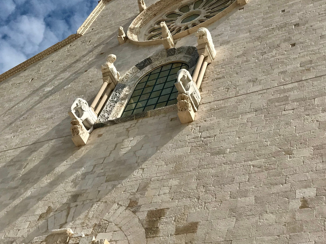 Cattedrale di Trani-特拉尼必去景点