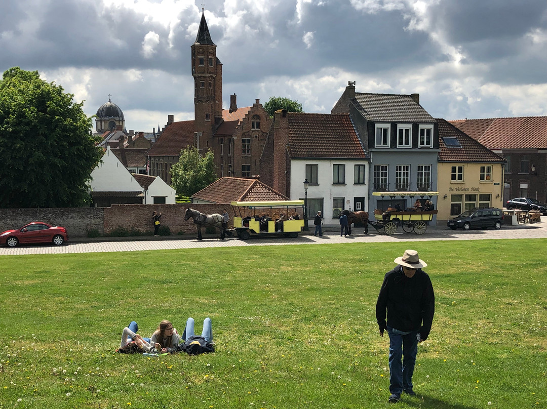 Bruges by Horse-Drawn Carriage景点图片