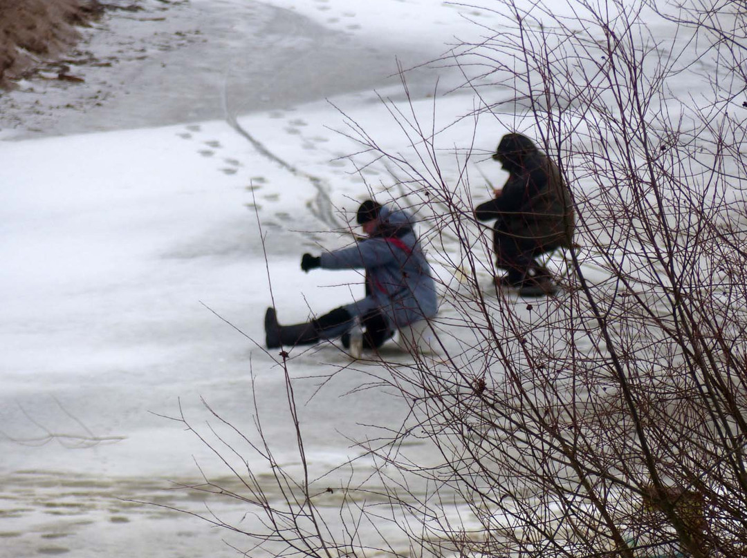 Lake Ilmen-Shimsk必去景点