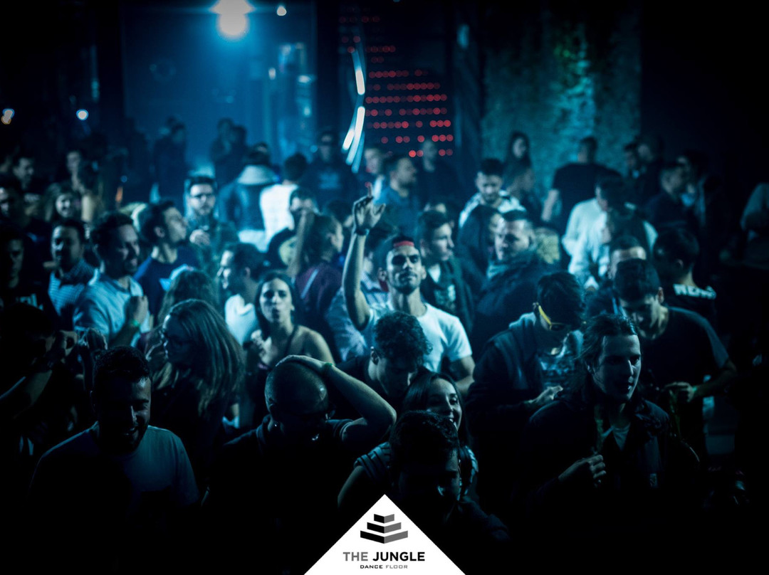 The Jungle Dancefloor-Carrizo de la Ribera必去景点