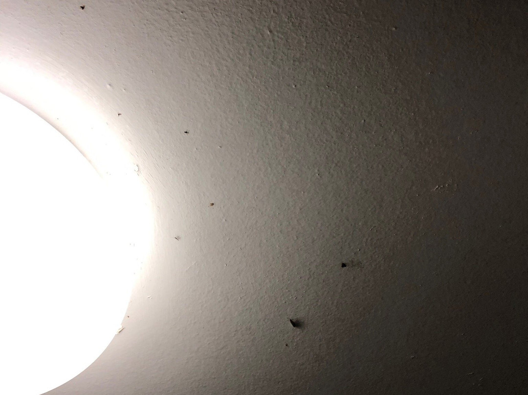 新堡雷恩旅馆主图