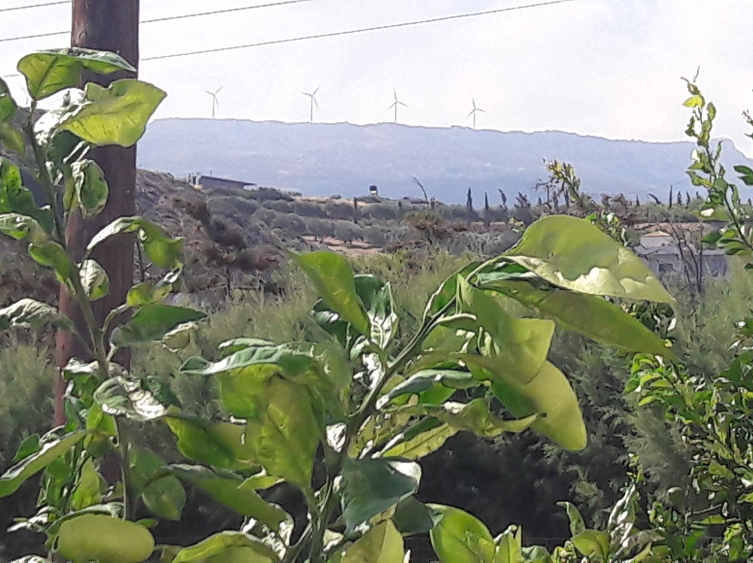 Hotel  l Petras Beach主图