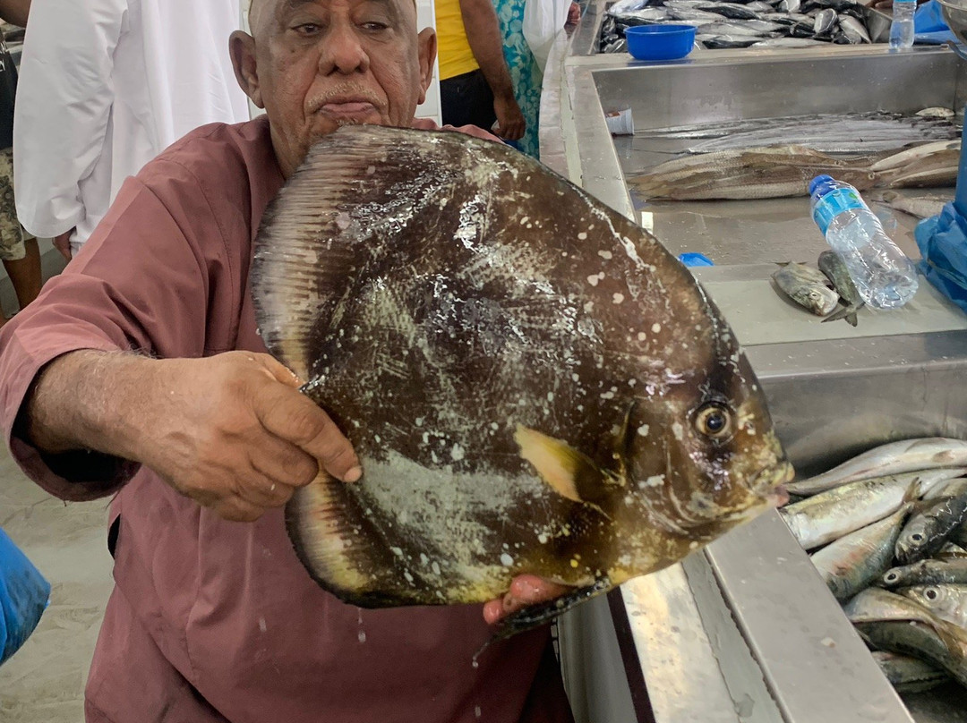 Discover Mazoon Tours Oman-马斯喀特必去景点