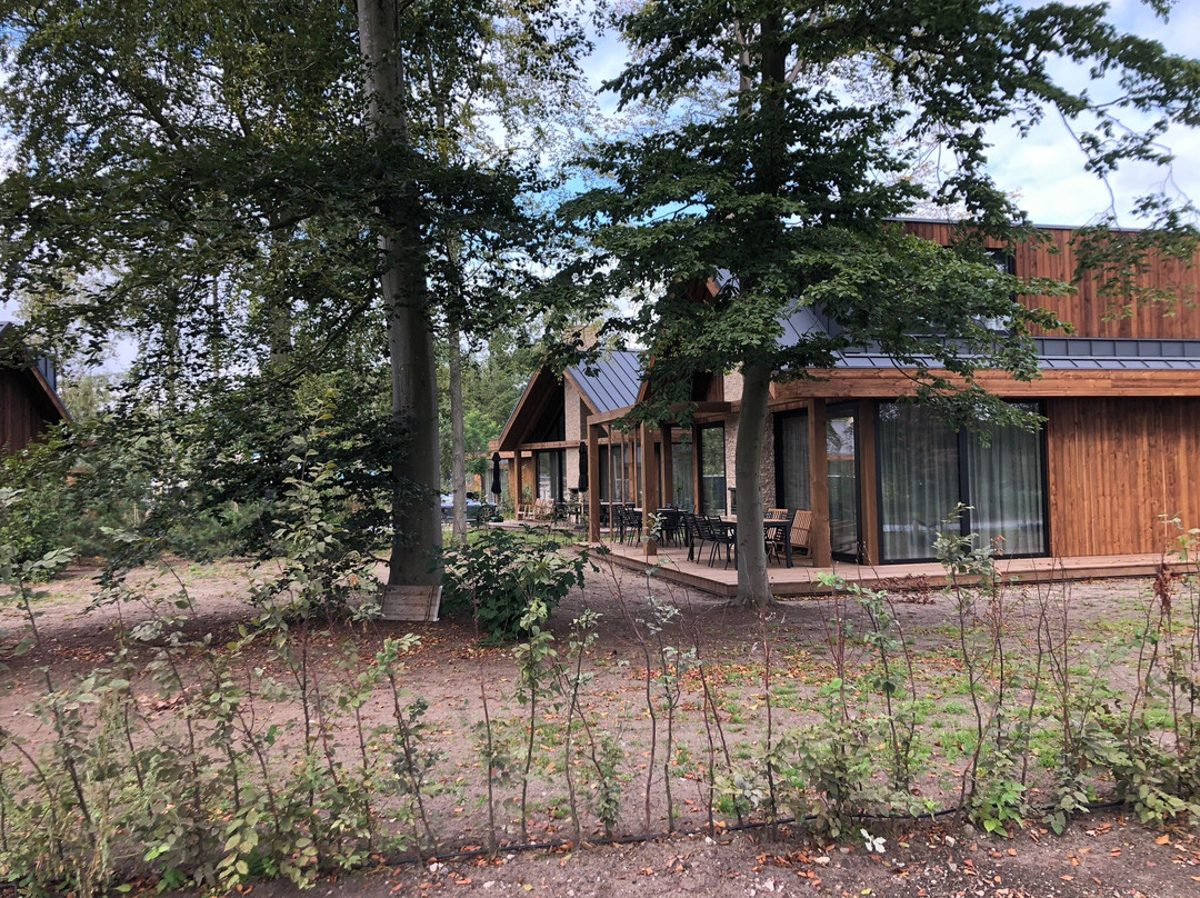 Bergvliet Villa's
