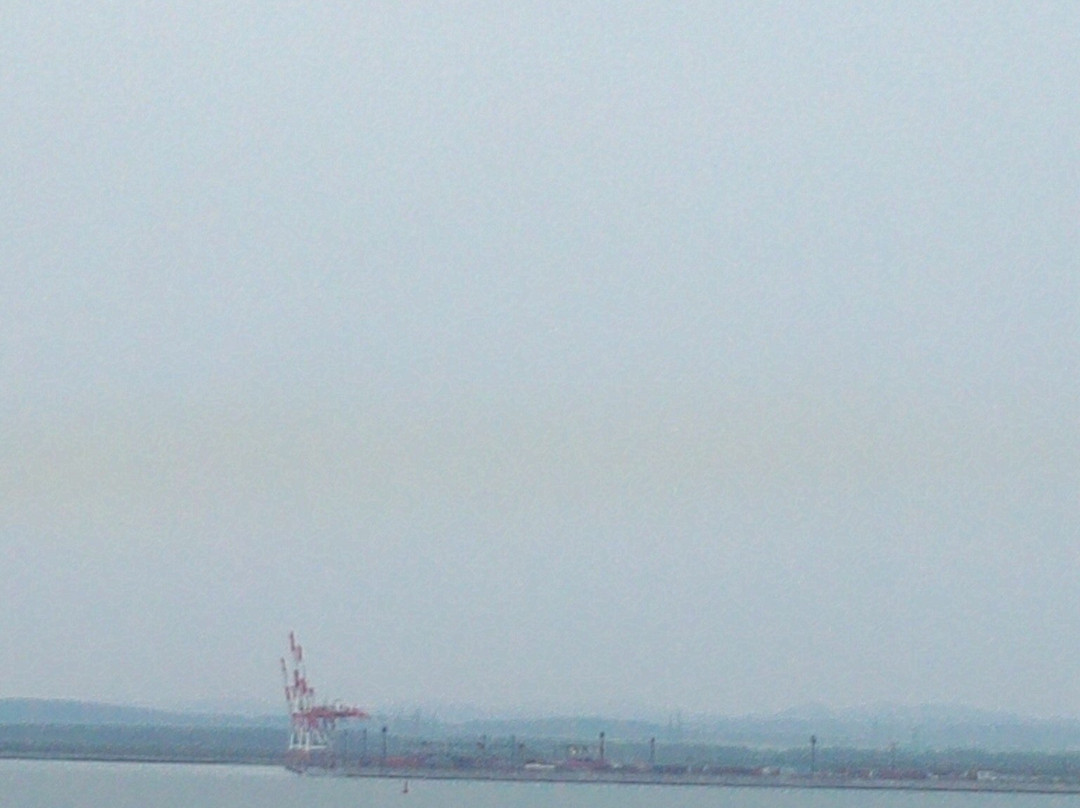 Shin Nihonkai Ferry from/to Komakomai Port-厚真町必去景点