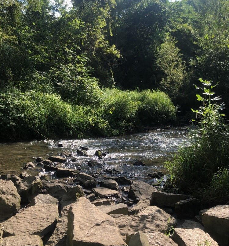 Quarry Hill Nature Center-罗切斯特必去景点