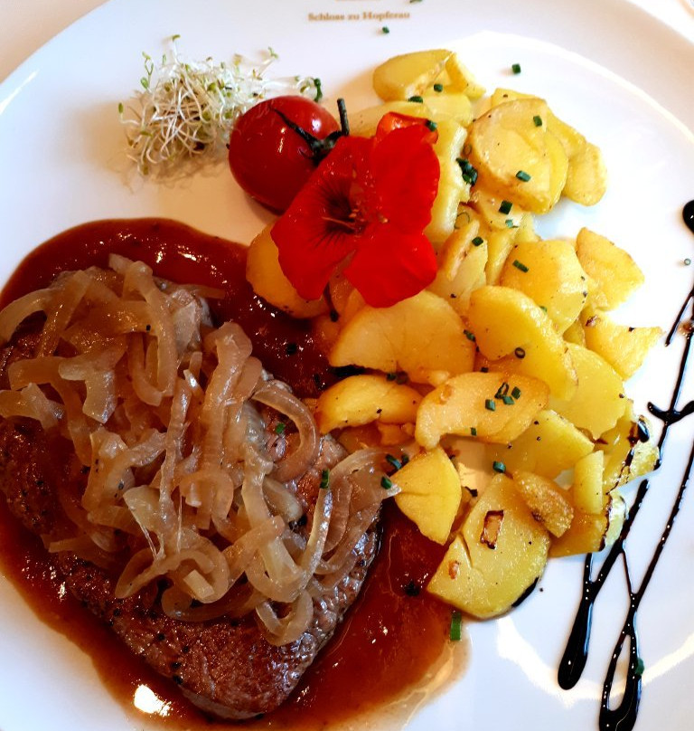 施劳斯侯普费罗酒店主图