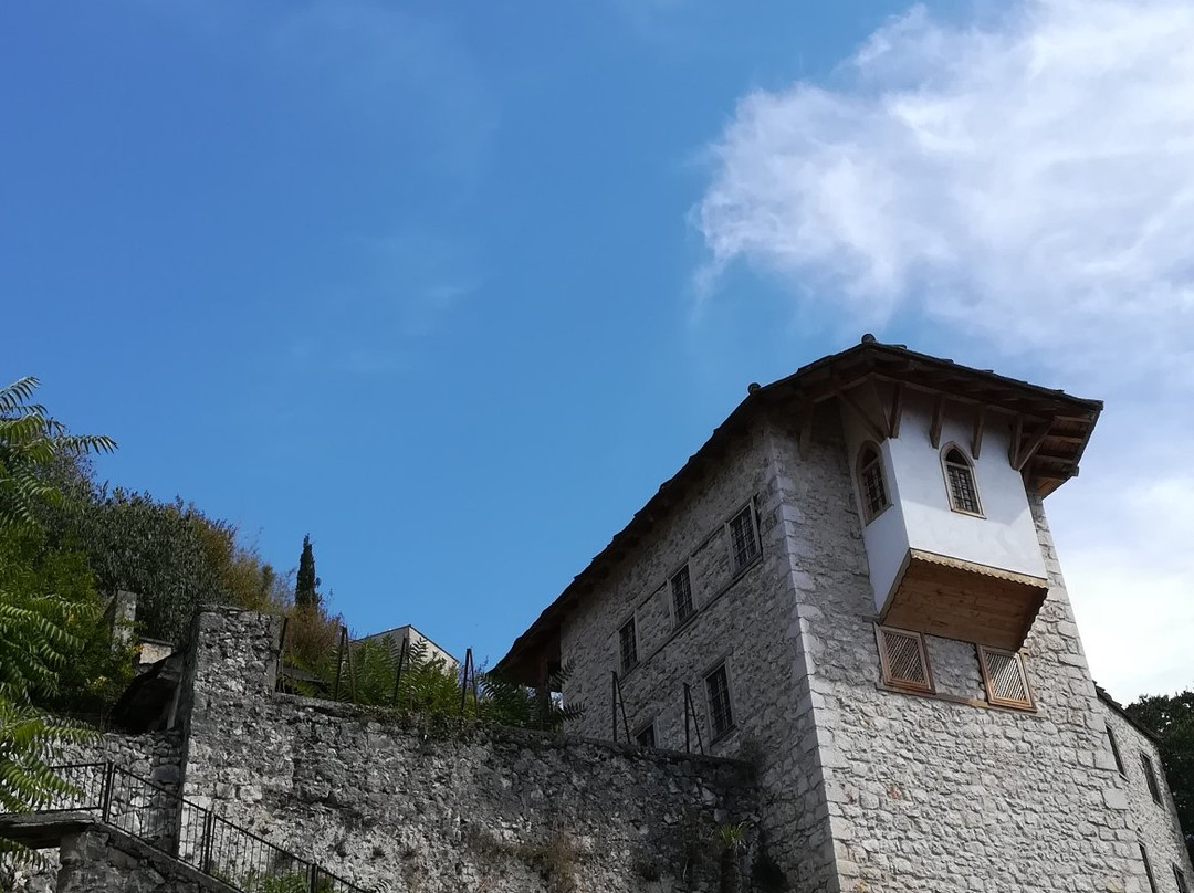 Turkovića kula景点图片
