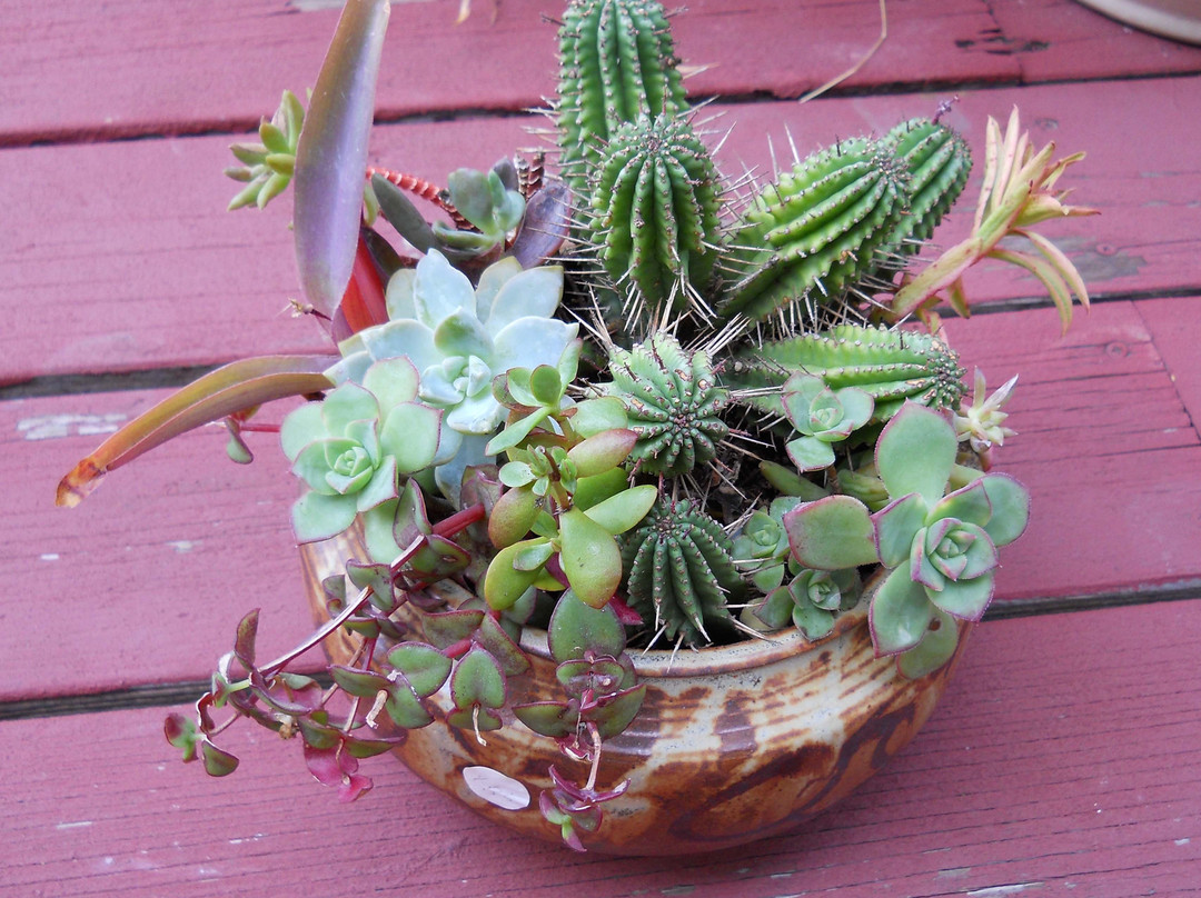 FIrestick Pottery-奥海必去景点