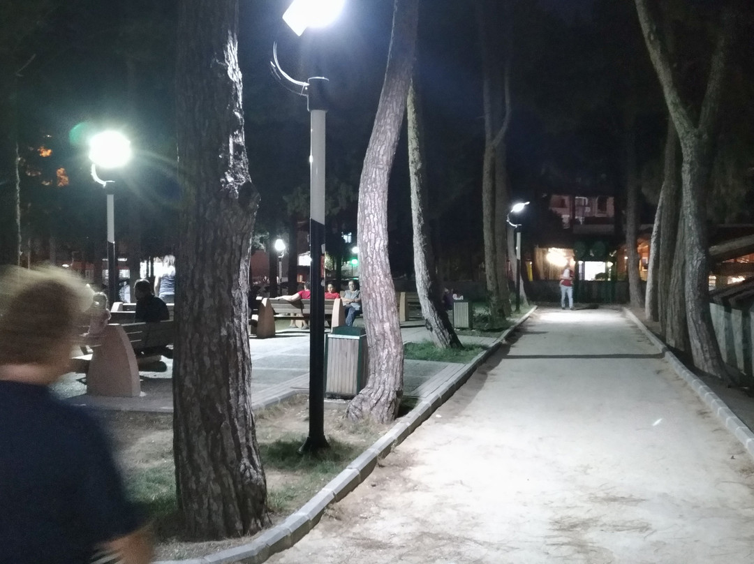 Hain der Daphne景点图片