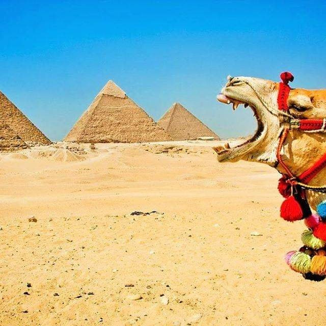 Egypt guide tours-开罗必去景点