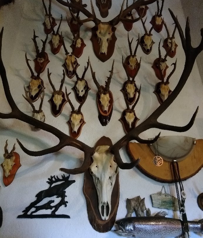 Kod Korita Rooms主图