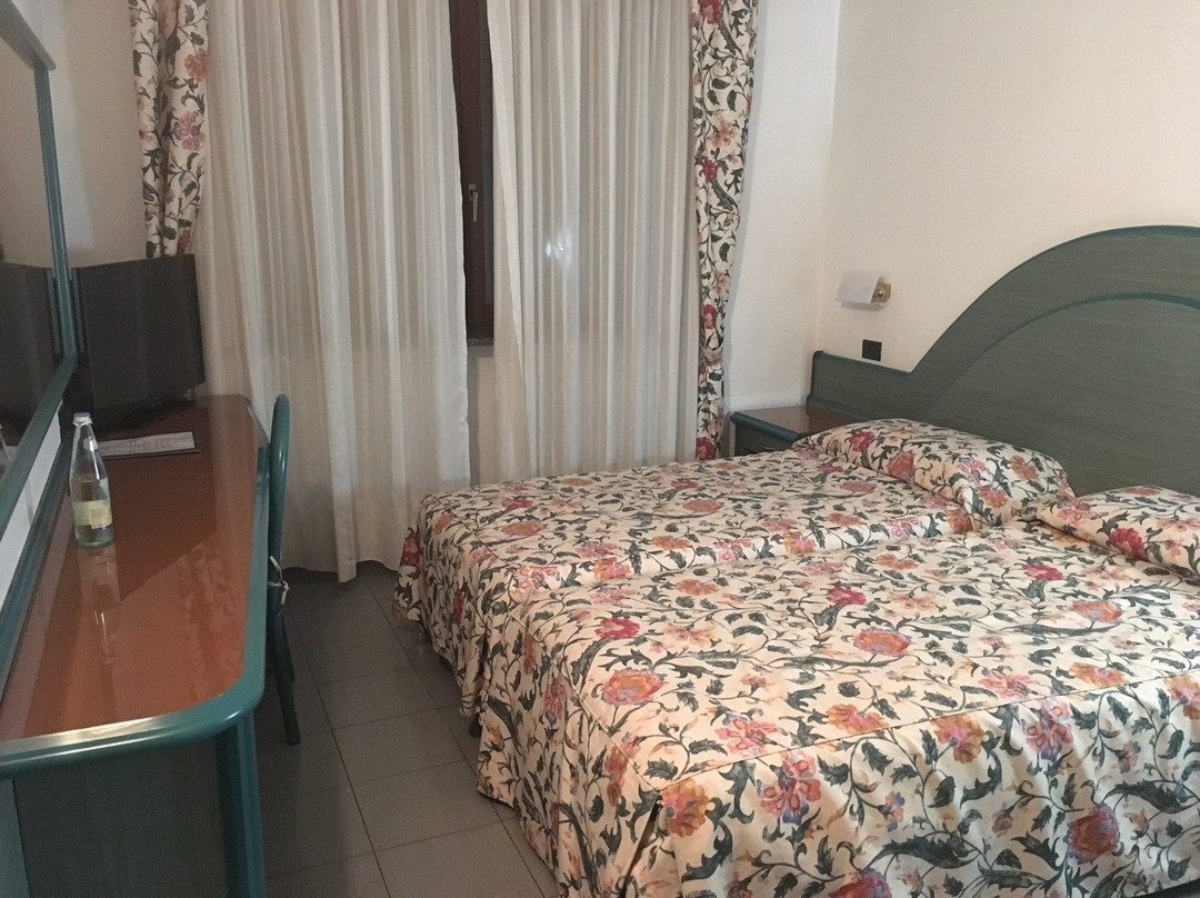 Albergo Ristorante Il Delfino主图
