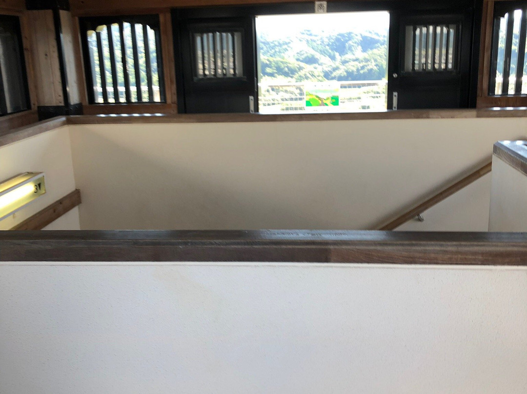 Tateyama Castle (Hakkenden Museum)-馆山市必去景点