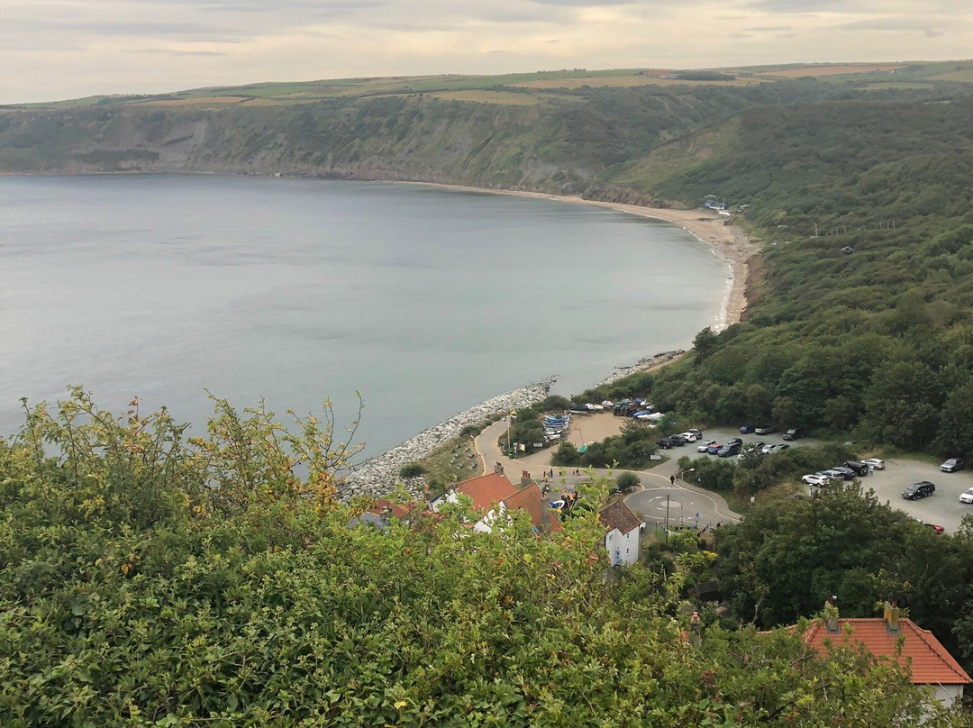 The Firs Guesthouse主图