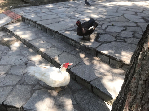 Thessaloniki Zoo-Agios Pavlos必去景点