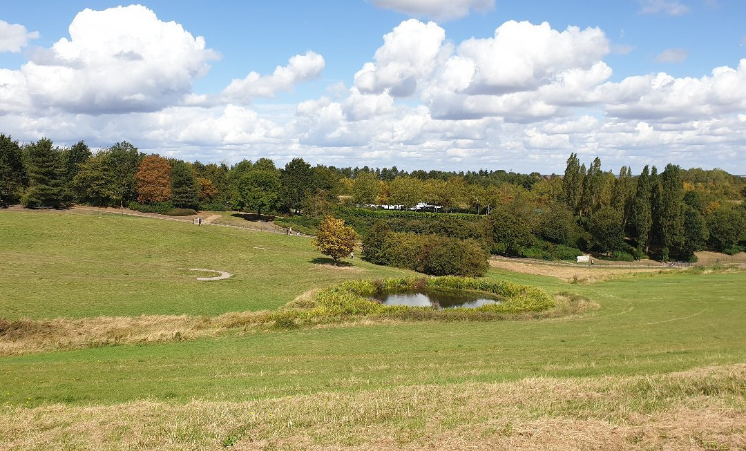 Campbell Park-米尔顿凯恩斯必去景点